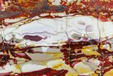 Stunning, Polished Mookaite Jasper Slab - Australia #112034-1